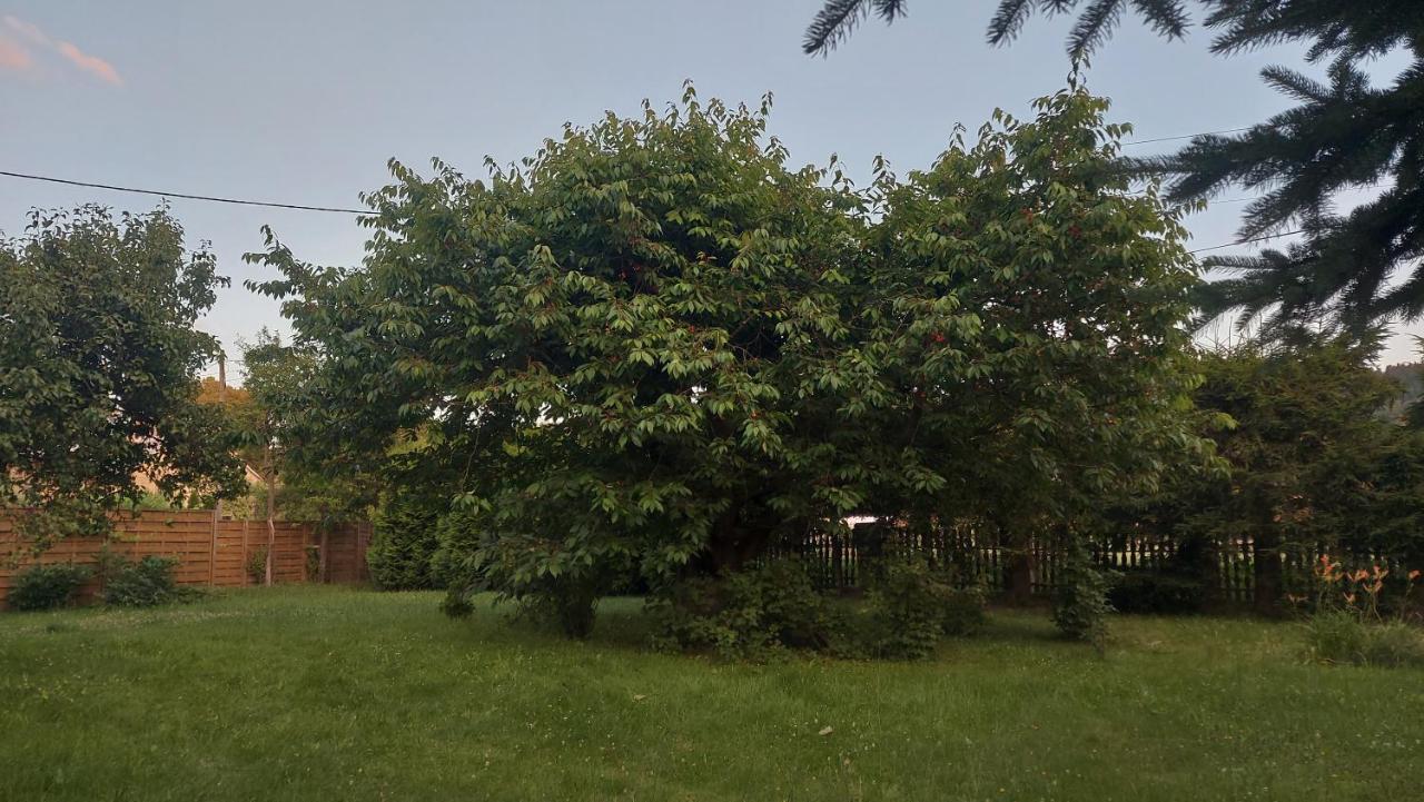 Apartamenty Stokrotka Lądek-Zdrój Екстериор снимка
