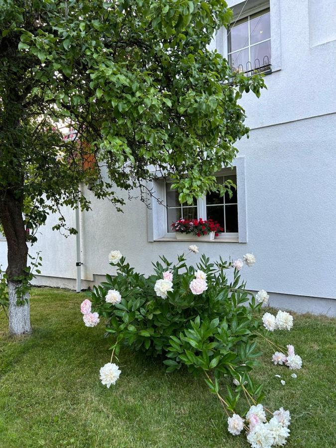 Apartamenty Stokrotka Lądek-Zdrój Екстериор снимка